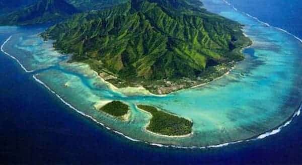 Coral reef zonation on Moorea. South Pacific
