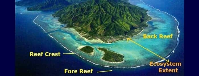Coral reef zonation, Moorea French Polynesia