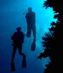 Divers exploring the lower fore reef.