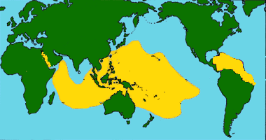 Geography of the Coral Reef Biome