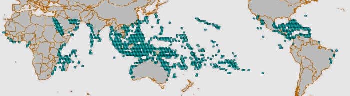 Global distribution of coral reefs