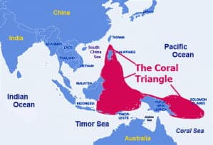 coral triangle