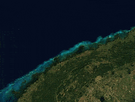 Cuba Fringing Reef