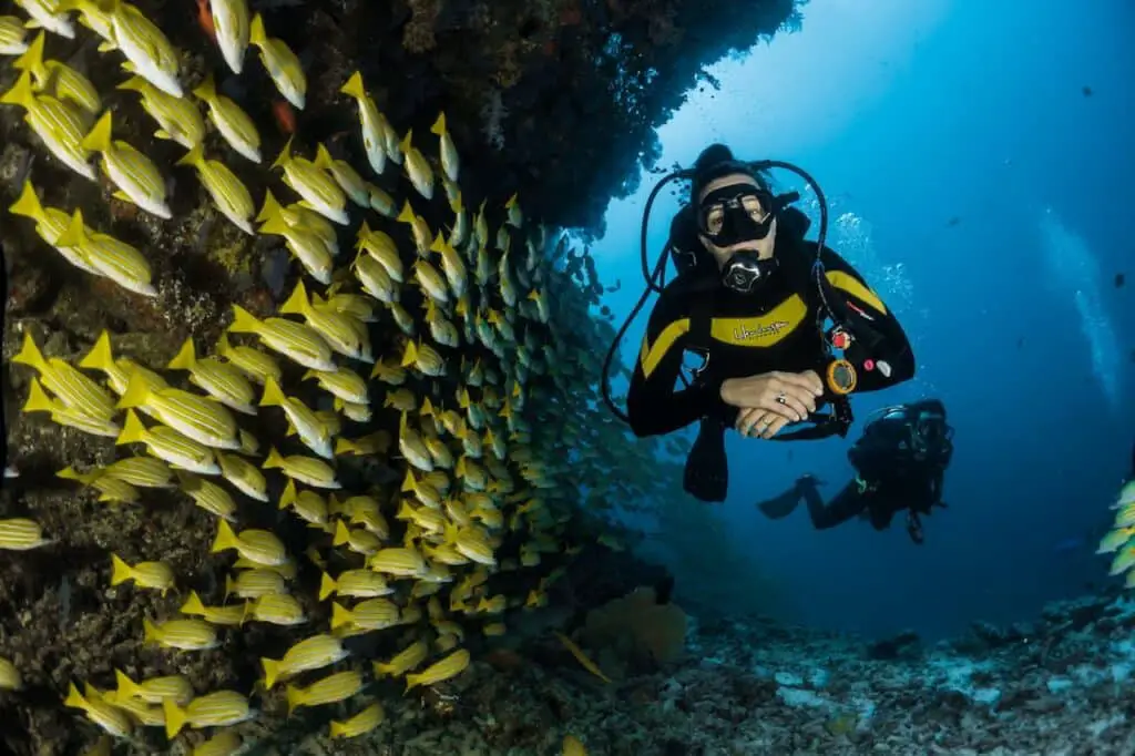 Protecting Coral Reefs