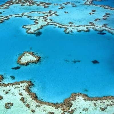 Great Barrier Reef From Drone